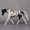 Clyde OOAK Black Appaloosa Warmblood Pebble By Jess Hamill LHS24