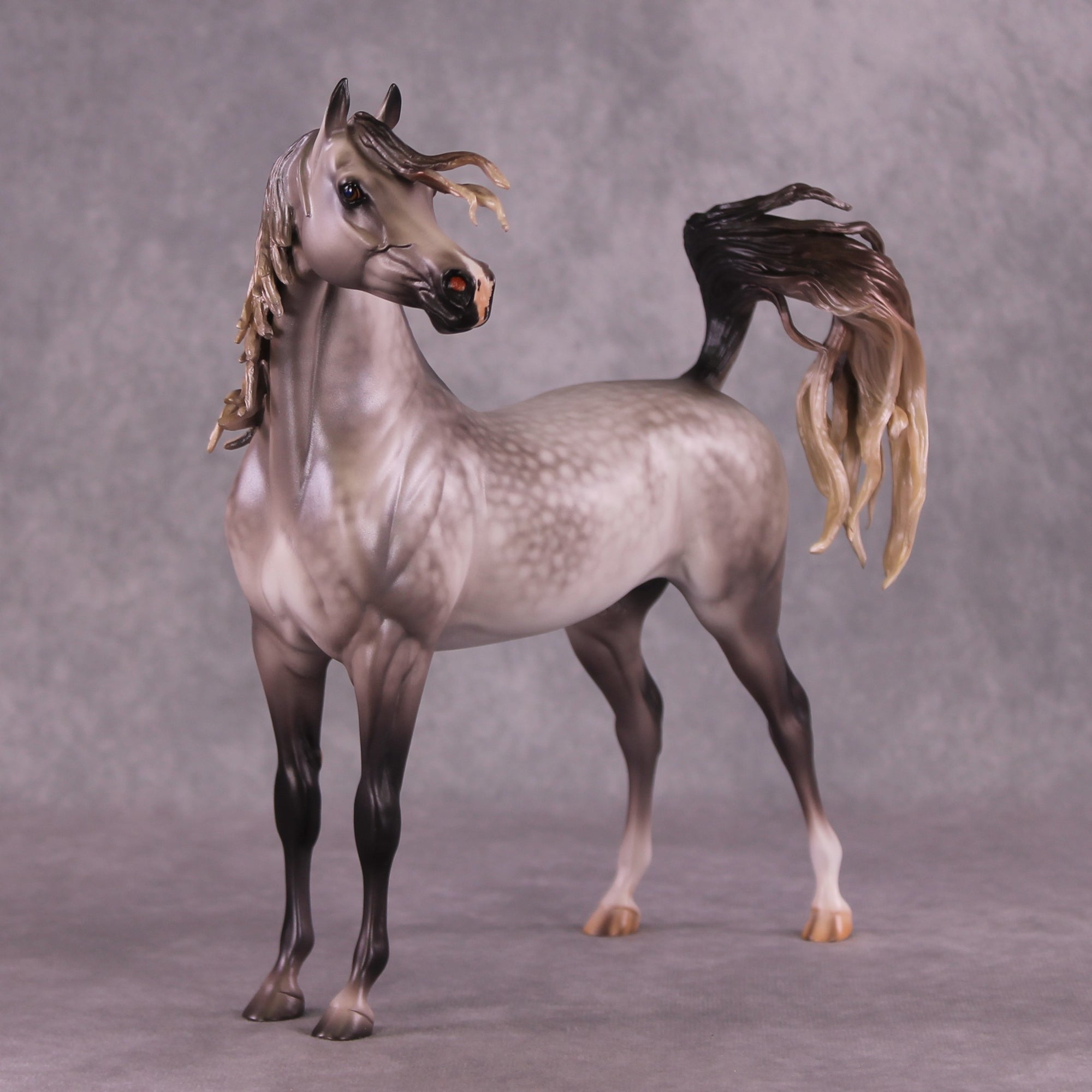 "Devon Aire" OOAK FCM Arabian Stallion By Caroline Boydston Best Offer 6/3/25