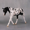 Clyde OOAK Black Appaloosa Warmblood Pebble By Jess Hamill LHS24