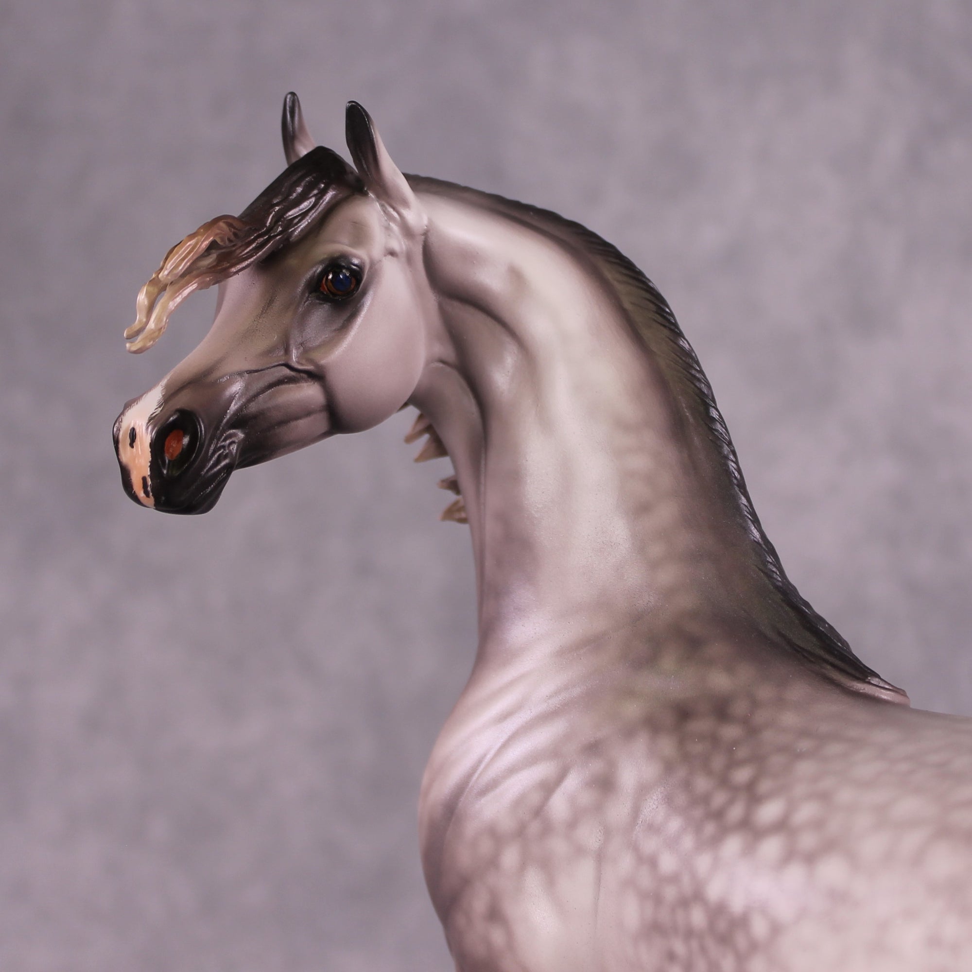 "Devon Aire" OOAK FCM Arabian Stallion By Caroline Boydston Best Offer 6/3/25