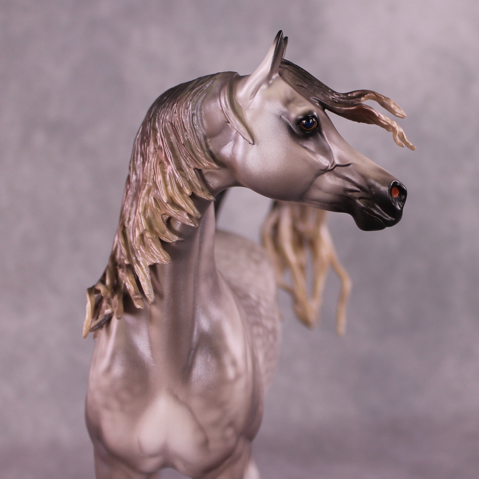"Devon Aire" OOAK FCM Arabian Stallion By Caroline Boydston Best Offer 6/3/25