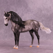 Fighting the Phantom OOAK FCM Andalusian by Carissa Mathews DDOOAKs26