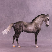 Fighting the Phantom OOAK FCM Andalusian by Carissa Mathews DDOOAKs26