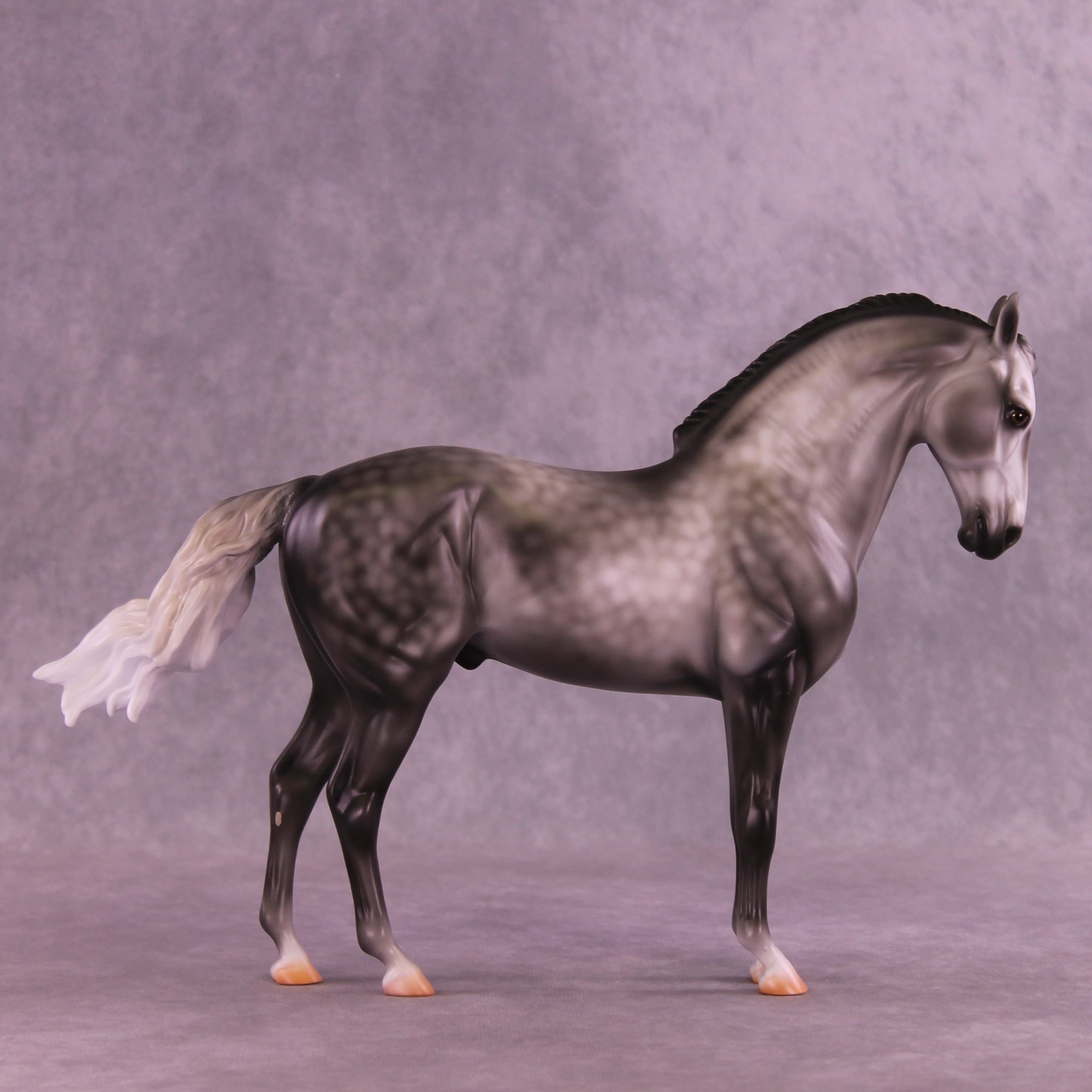 Fighting the Phantom OOAK FCM Andalusian by Carissa Mathews DDOOAKs26