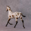 &quot;Williwaw&quot; Best Offer Custom OOAK Arabian Yearling by Sheryl Leisure 4/29/2025