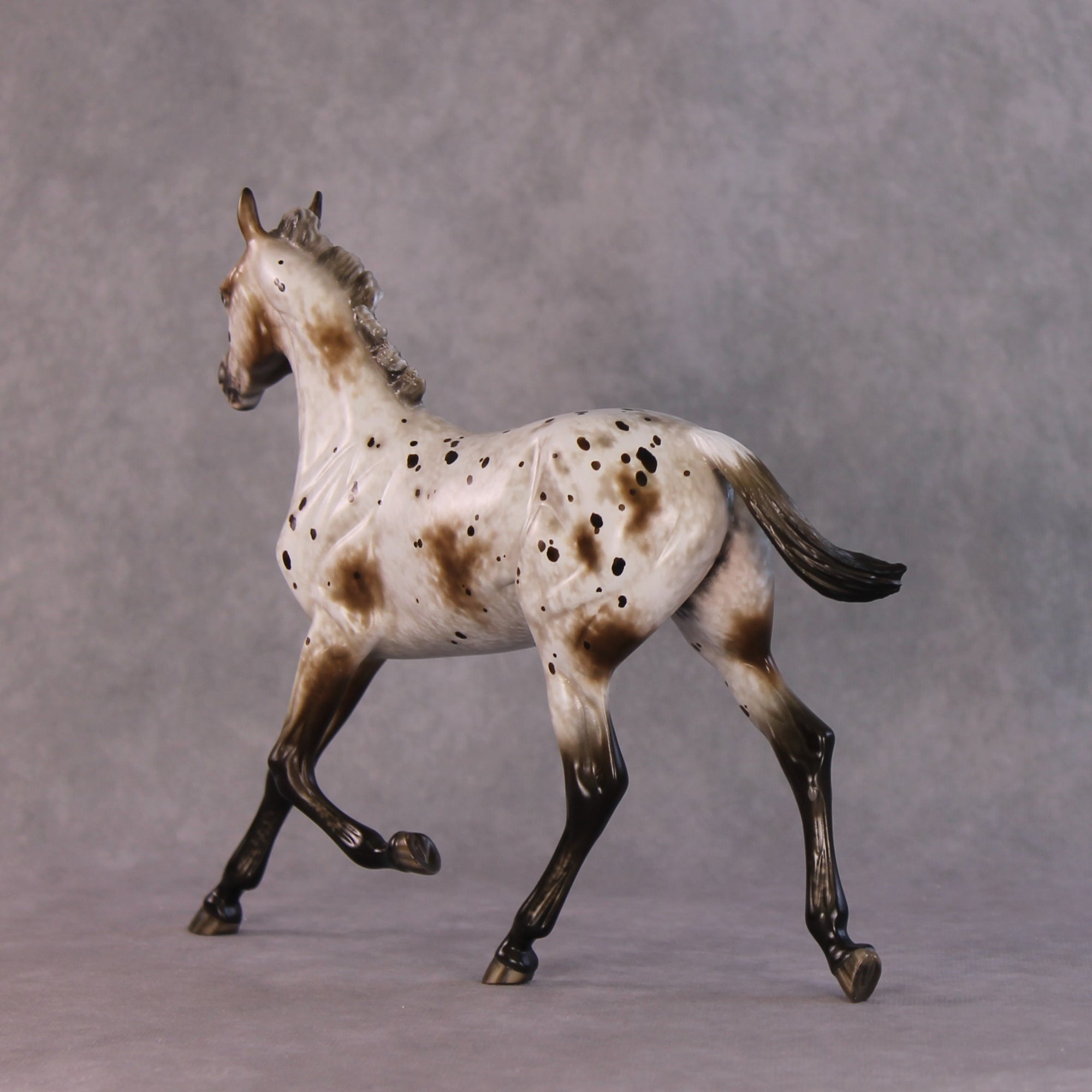 "Williwaw" Best Offer Custom OOAK Arabian Yearling by Sheryl Leisure 4/29/2025