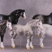 Art of the Horse 