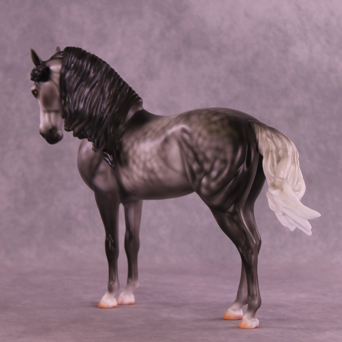 Fighting the Phantom OOAK FCM Andalusian by Carissa Mathews DDOOAKs26