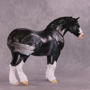 Art of the Horse 