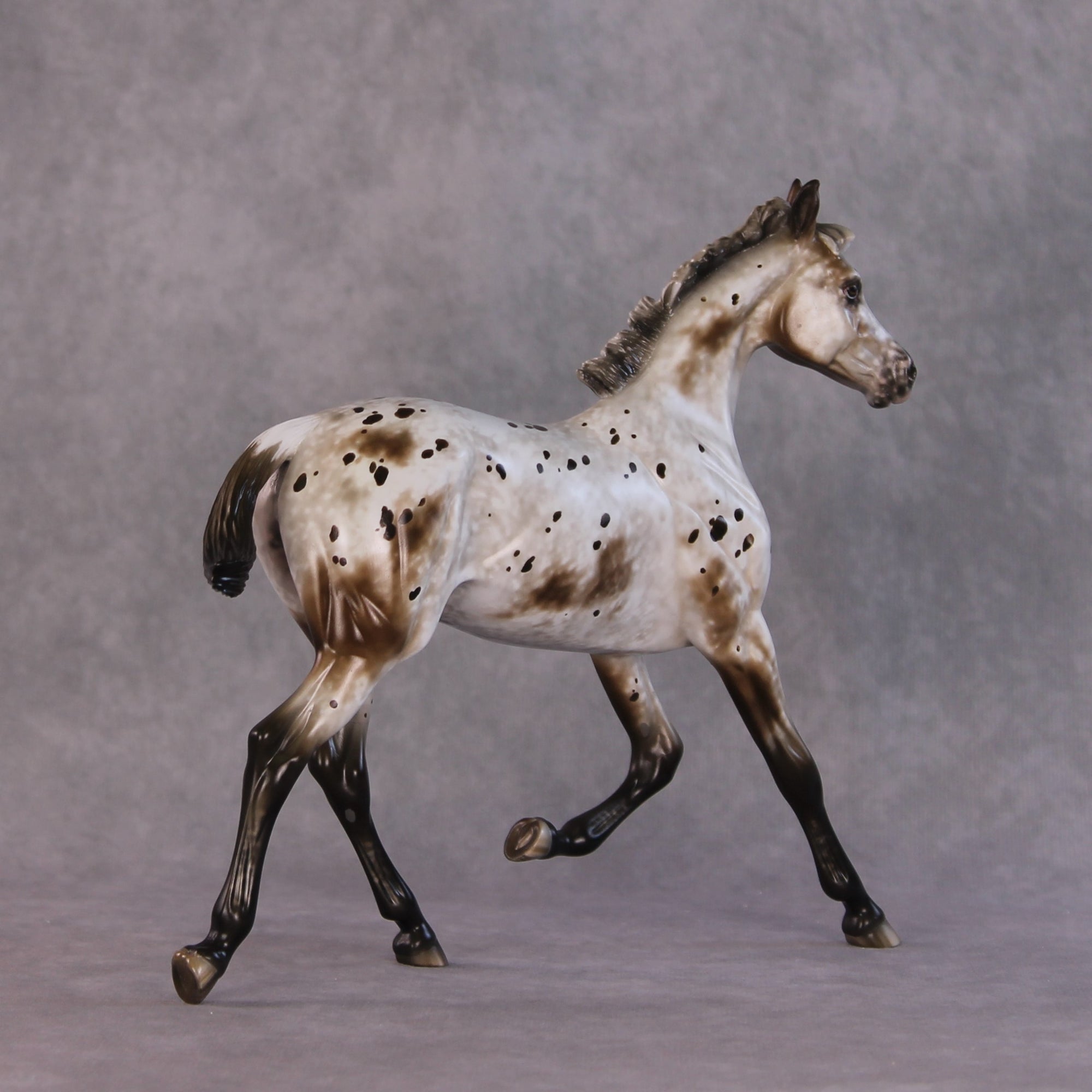 "Williwaw" Best Offer Custom OOAK Arabian Yearling by Sheryl Leisure 4/29/2025