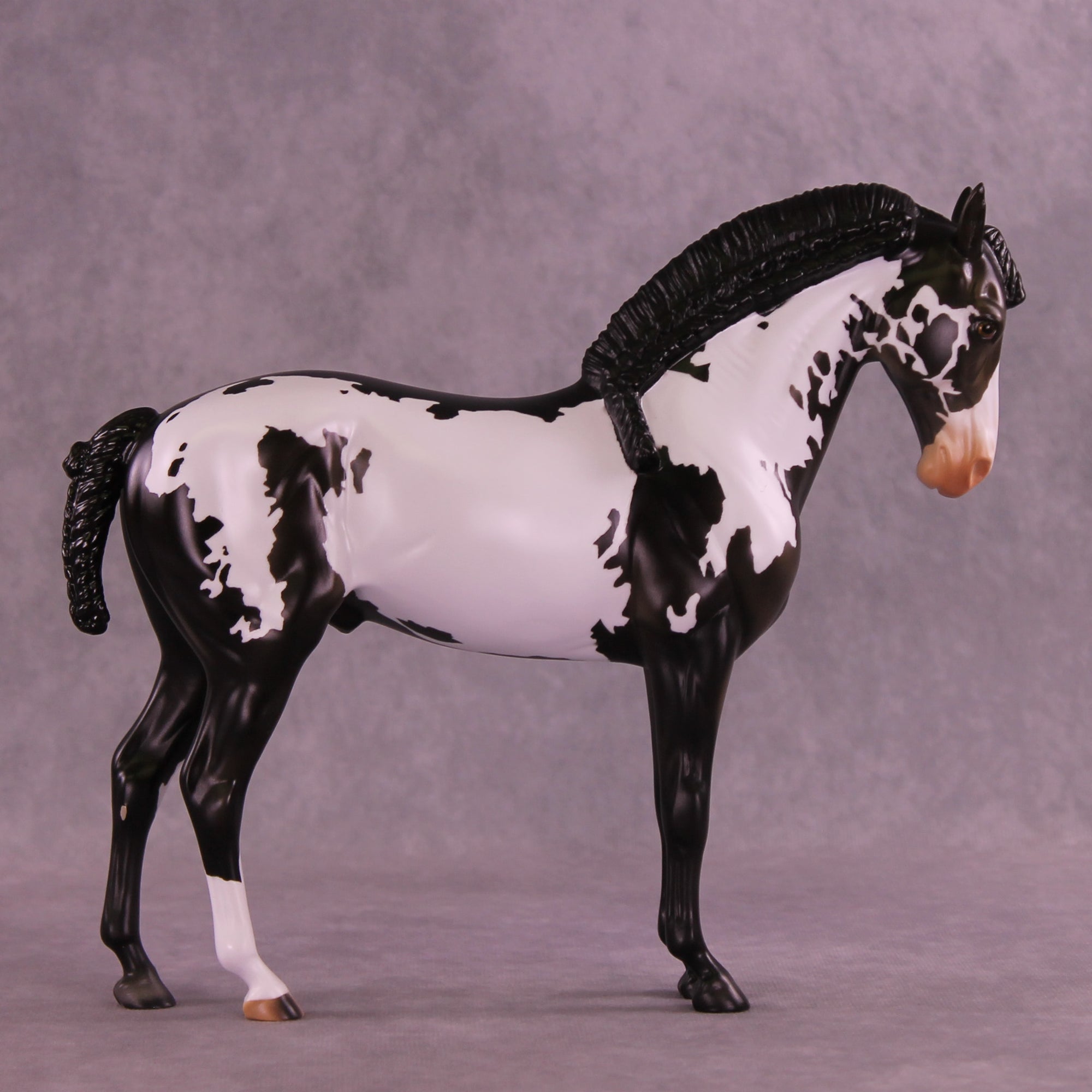 Titus OOAK FCM Andalusian by Anna Rieck DDOOAKs26