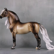 Veronika Carter LE 5 Run Dappled Silver Black Extreme Custom Morgan By Ellen Robbins MM24 Run