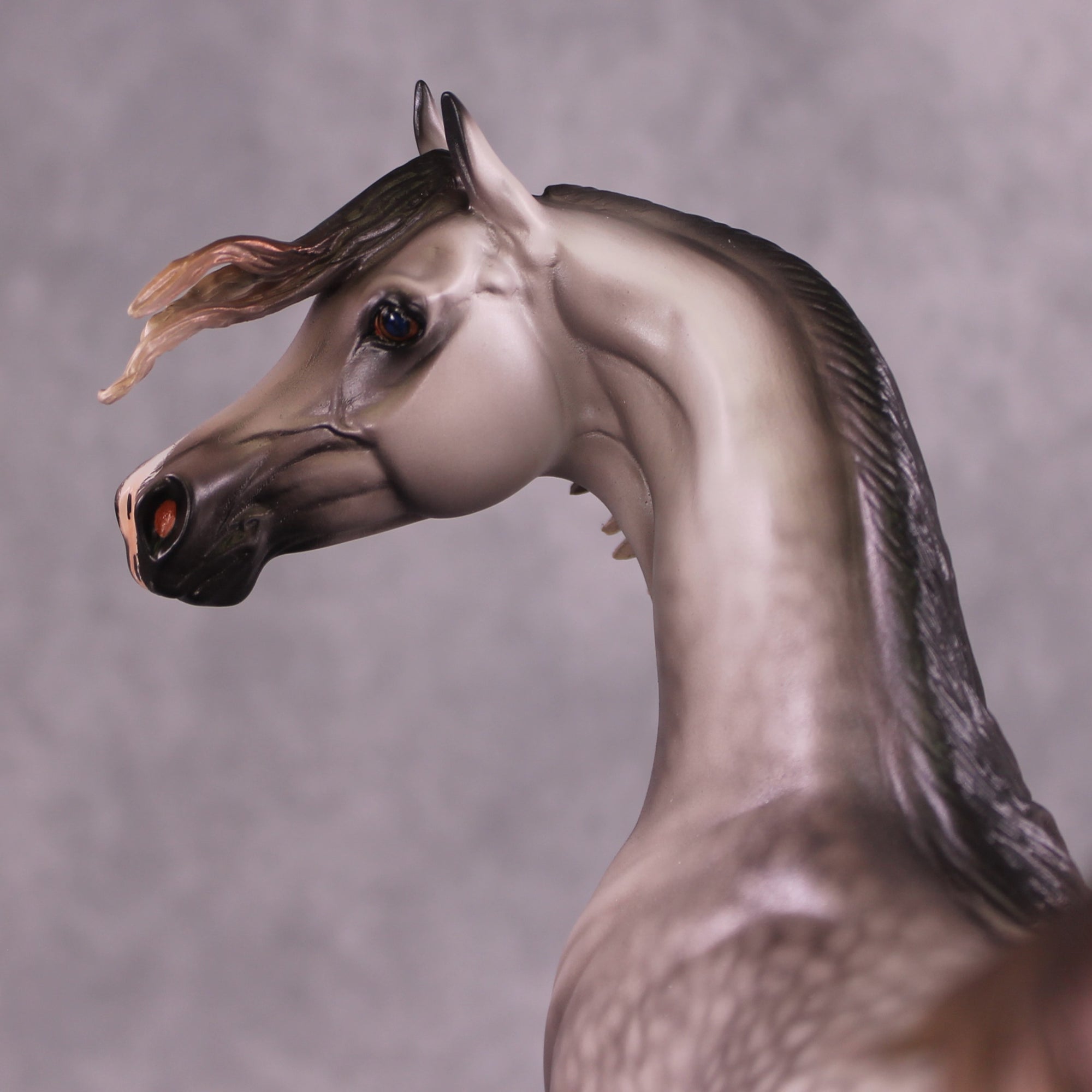 "Devon Aire" OOAK FCM Arabian Stallion By Caroline Boydston Best Offer 6/3/25