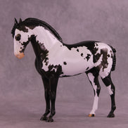 Titus OOAK FCM Andalusian by Anna Rieck DDOOAKs26