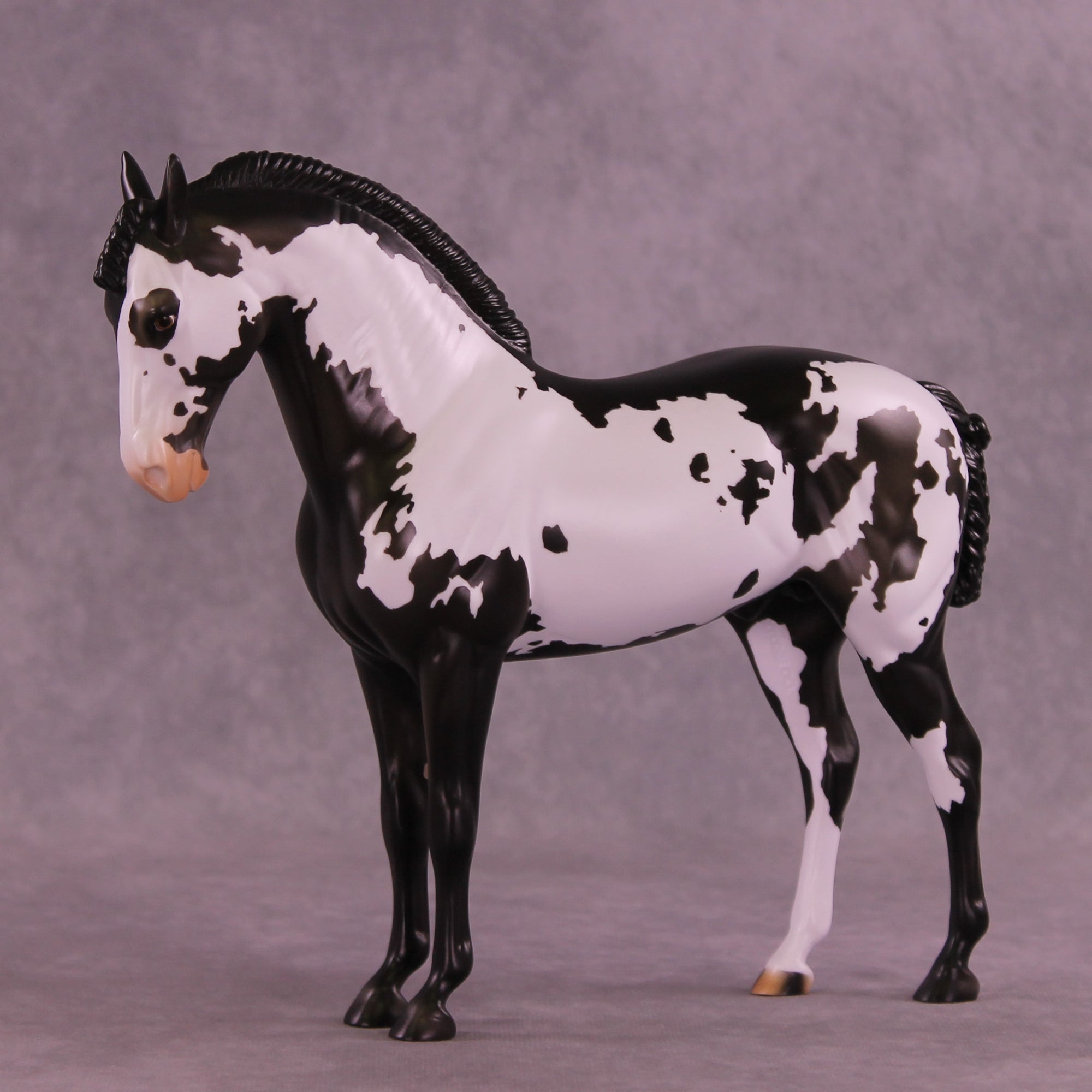 Titus OOAK FCM Andalusian by Anna Rieck DDOOAKs26
