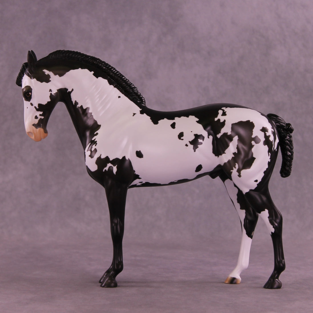 Titus OOAK FCM Andalusian by Anna Rieck DDOOAKs26