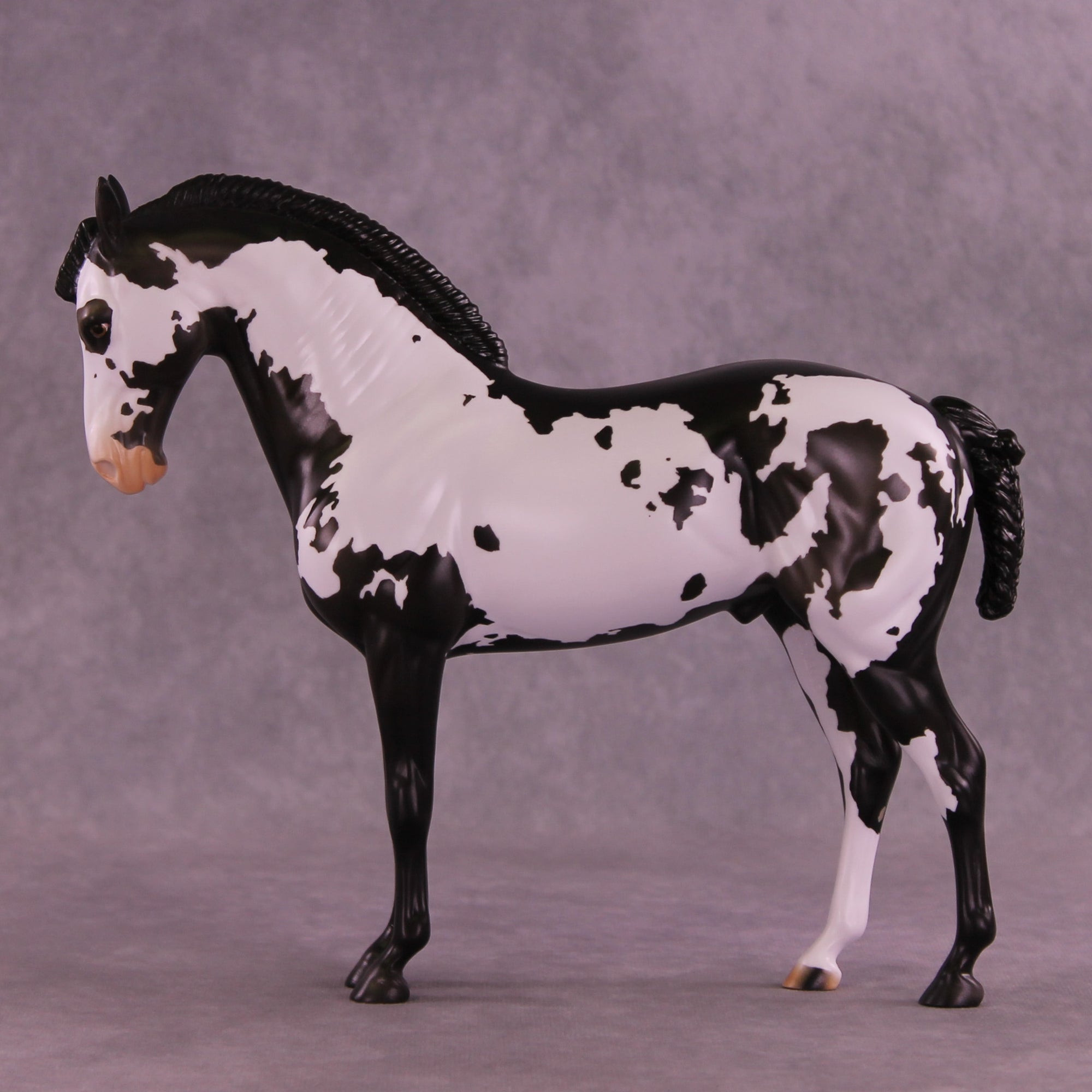 Titus OOAK FCM Andalusian by Anna Rieck DDOOAKs26