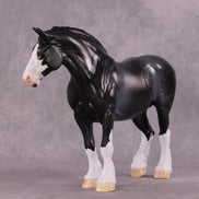 Art of the Horse 