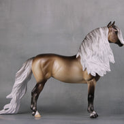 Veronika Carter LE 5 Run Dappled Silver Black Extreme Custom Morgan By Ellen Robbins MM24 Run
