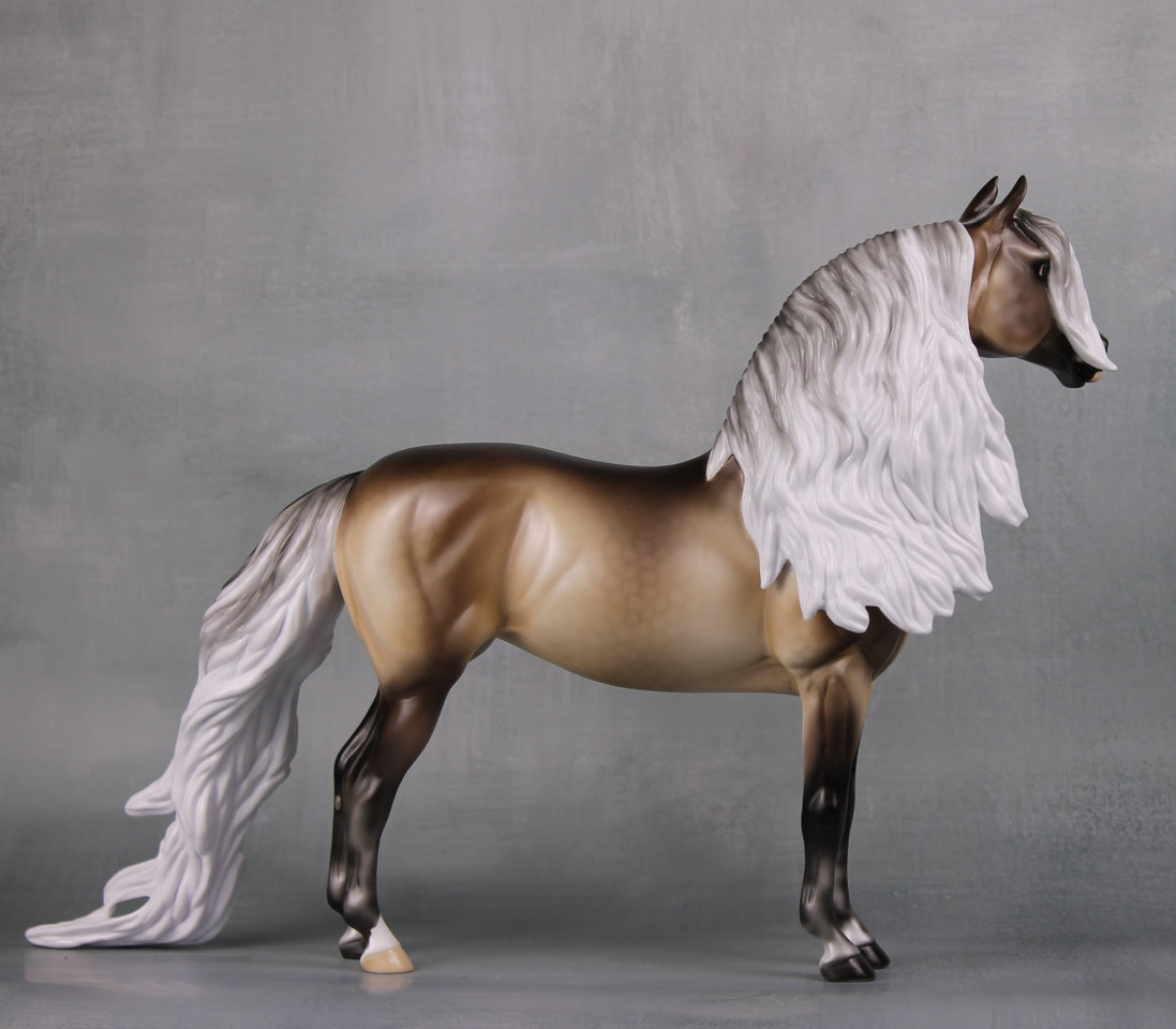 Veronika Carter LE 5 Run Dappled Silver Black Extreme Custom Morgan By Ellen Robbins MM24 Run
