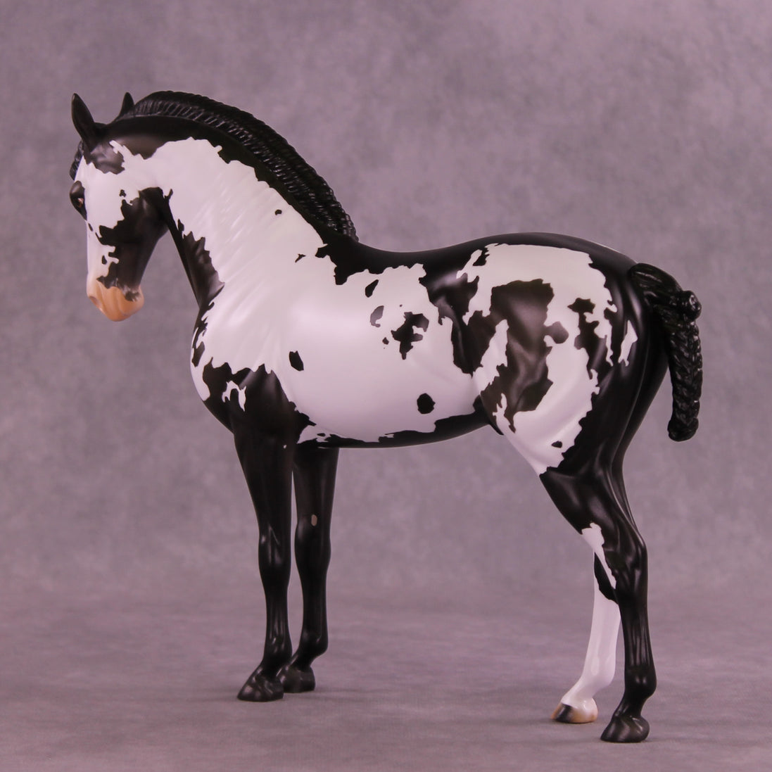 Titus OOAK FCM Andalusian by Anna Rieck DDOOAKs26