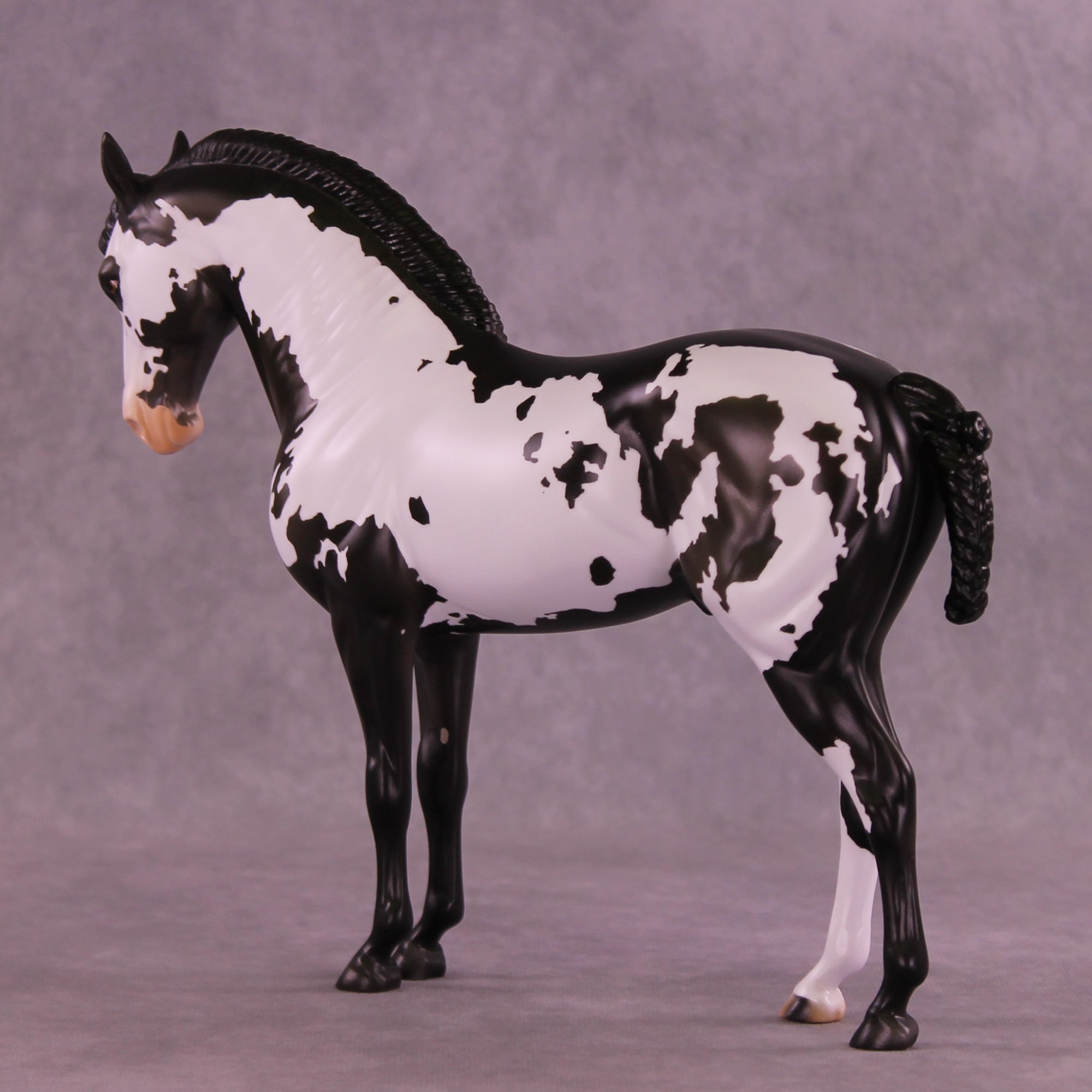 Titus OOAK FCM Andalusian by Anna Rieck DDOOAKs26