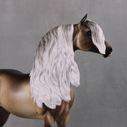 Veronika Carter LE 5 Run Dappled Silver Black Extreme Custom Morgan By Ellen Robbins MM24 Run