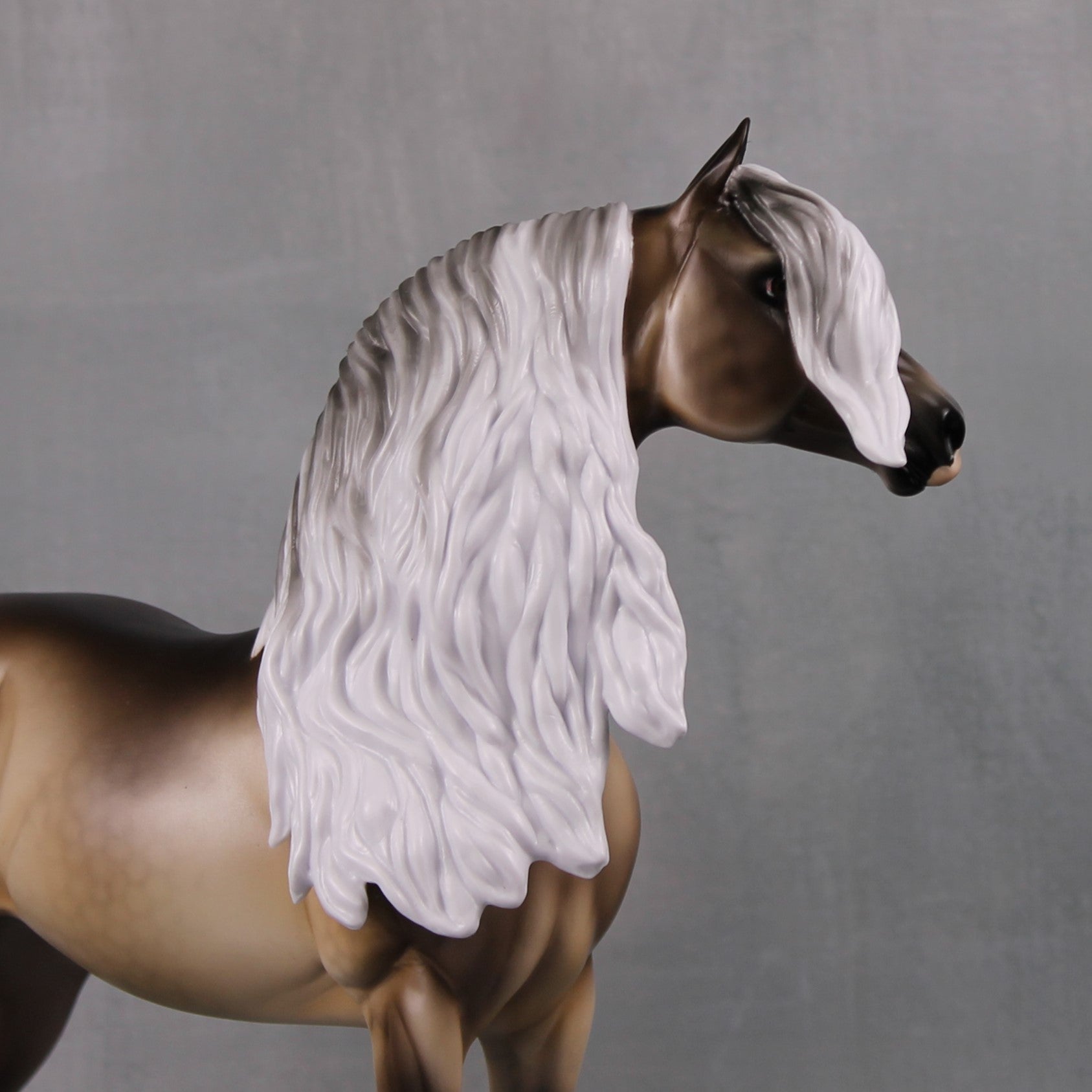 Veronika Carter LE 5 Run Dappled Silver Black Extreme Custom Morgan By Ellen Robbins MM24 Run