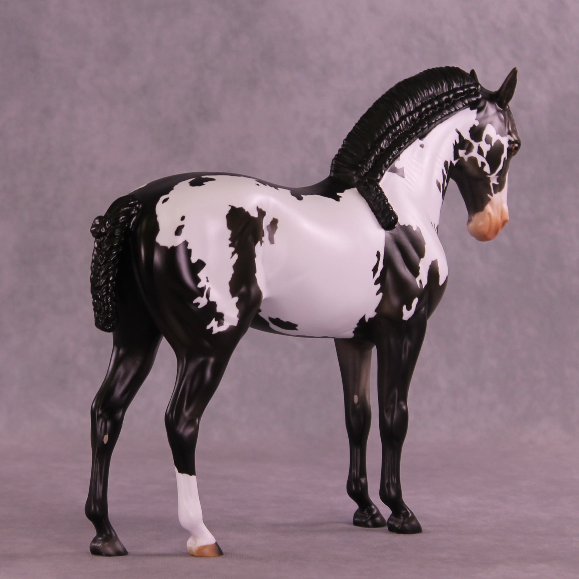 Titus OOAK FCM Andalusian by Anna Rieck DDOOAKs26