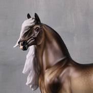 Veronika Carter LE 5 Run Dappled Silver Black Extreme Custom Morgan By Ellen Robbins MM24 Run