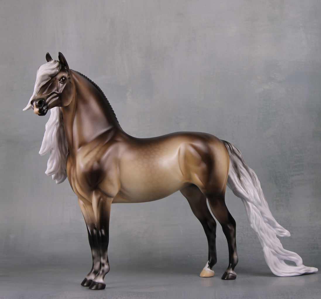 Veronika Carter LE 5 Run Dappled Silver Black Extreme Custom Morgan By Ellen Robbins MM24 Run