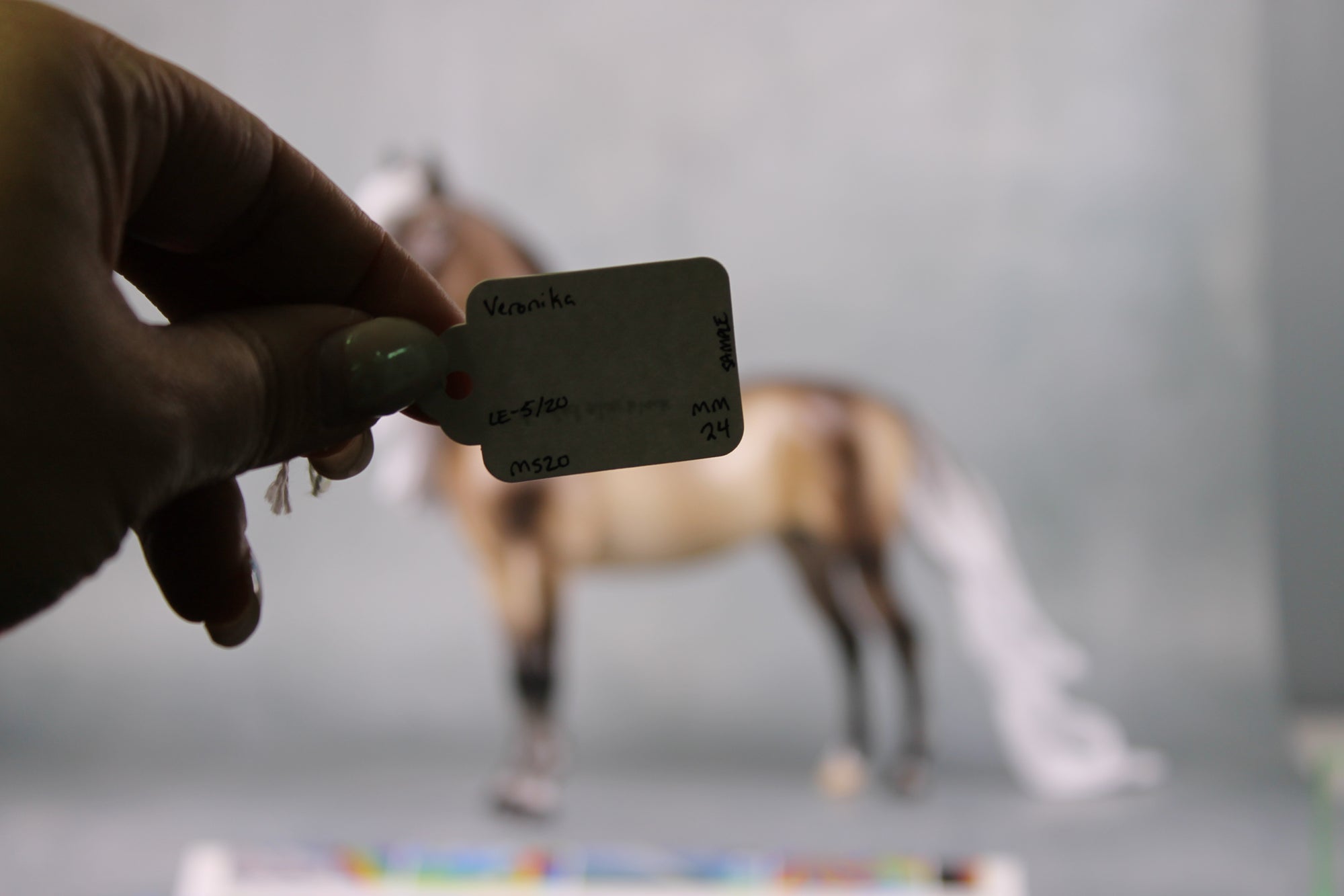 Veronika Carter LE 5 Run Dappled Silver Black Extreme Custom Morgan By Ellen Robbins MM24 Run