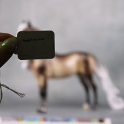 Veronika Carter LE 5 Run Dappled Silver Black Extreme Custom Morgan By Ellen Robbins MM24 Run