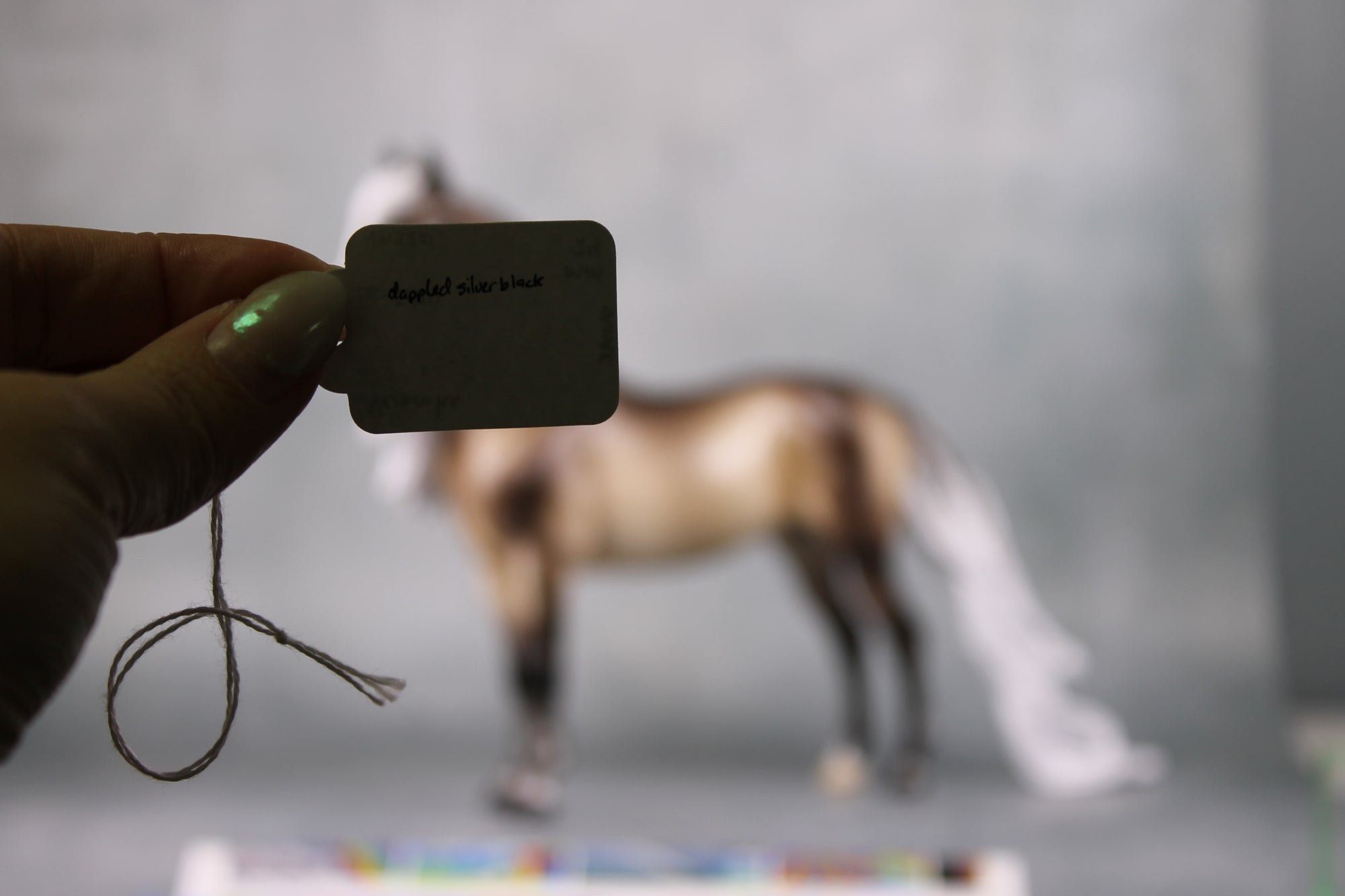 Veronika Carter LE 5 Run Dappled Silver Black Extreme Custom Morgan By Ellen Robbins MM24 Run