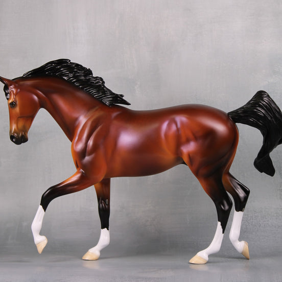 Ace LE 5 Dappled Bay with Lavender Sheen Thoroughbred By Ellen Robbins MM24 Run
