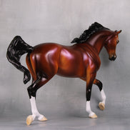 Ace LE 5 Dappled Bay with Lavender Sheen Thoroughbred By Ellen Robbins MM24 Run