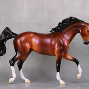 Ace LE 5 Dappled Bay with Lavender Sheen Thoroughbred By Ellen Robbins MM24 Run
