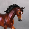 PREVIEW LISTING ONLY Ace LE 5 Dappled Bay with Lavender Sheen Thoroughbred By Ellen Robbins MM24 Run