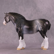 Art of the Horse 