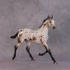 &quot;Williwaw&quot; Best Offer Custom OOAK Arabian Yearling by Sheryl Leisure 4/29/2025