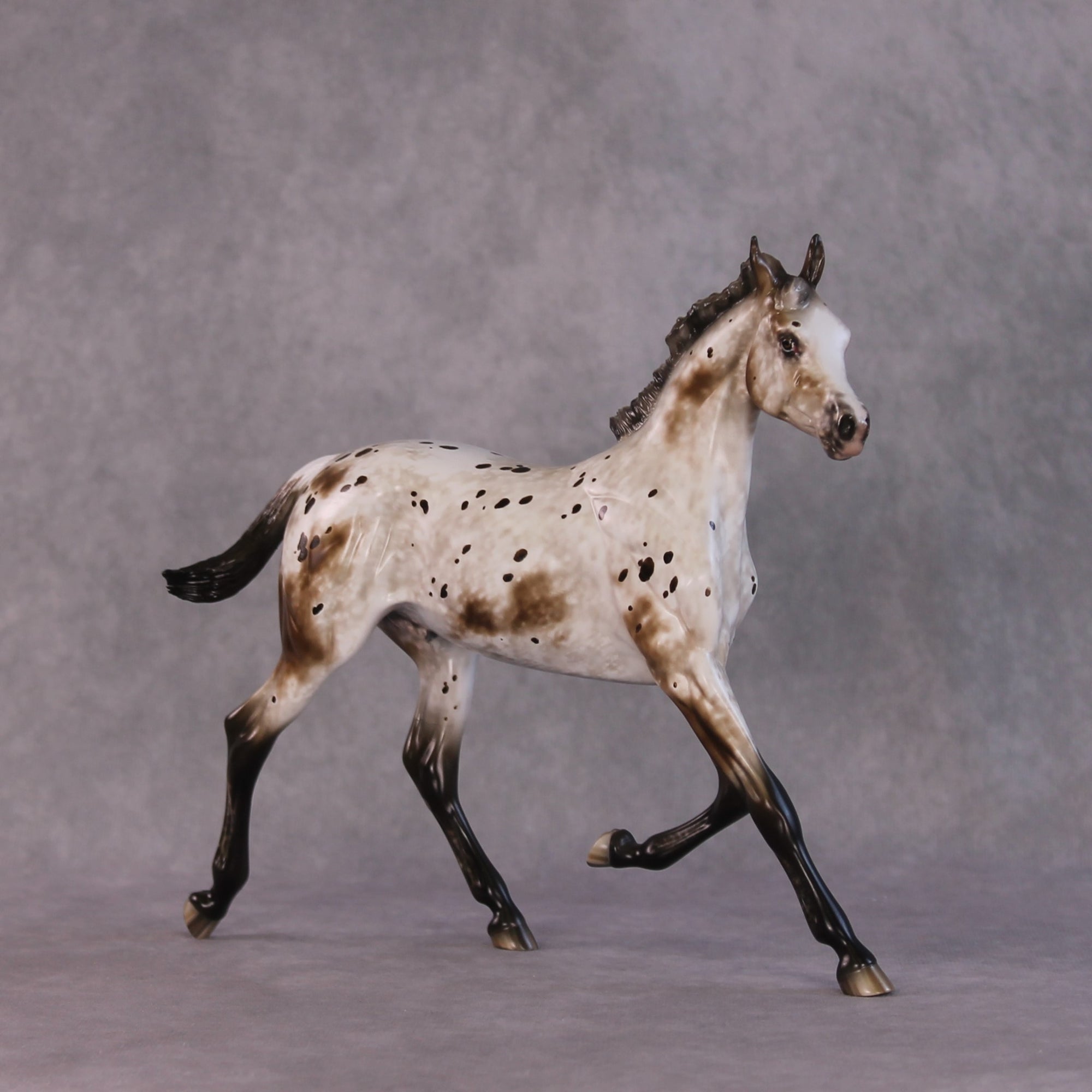 "Williwaw" Best Offer Custom OOAK Arabian Yearling by Sheryl Leisure 4/29/2025
