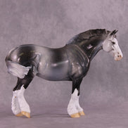 Art of the Horse 