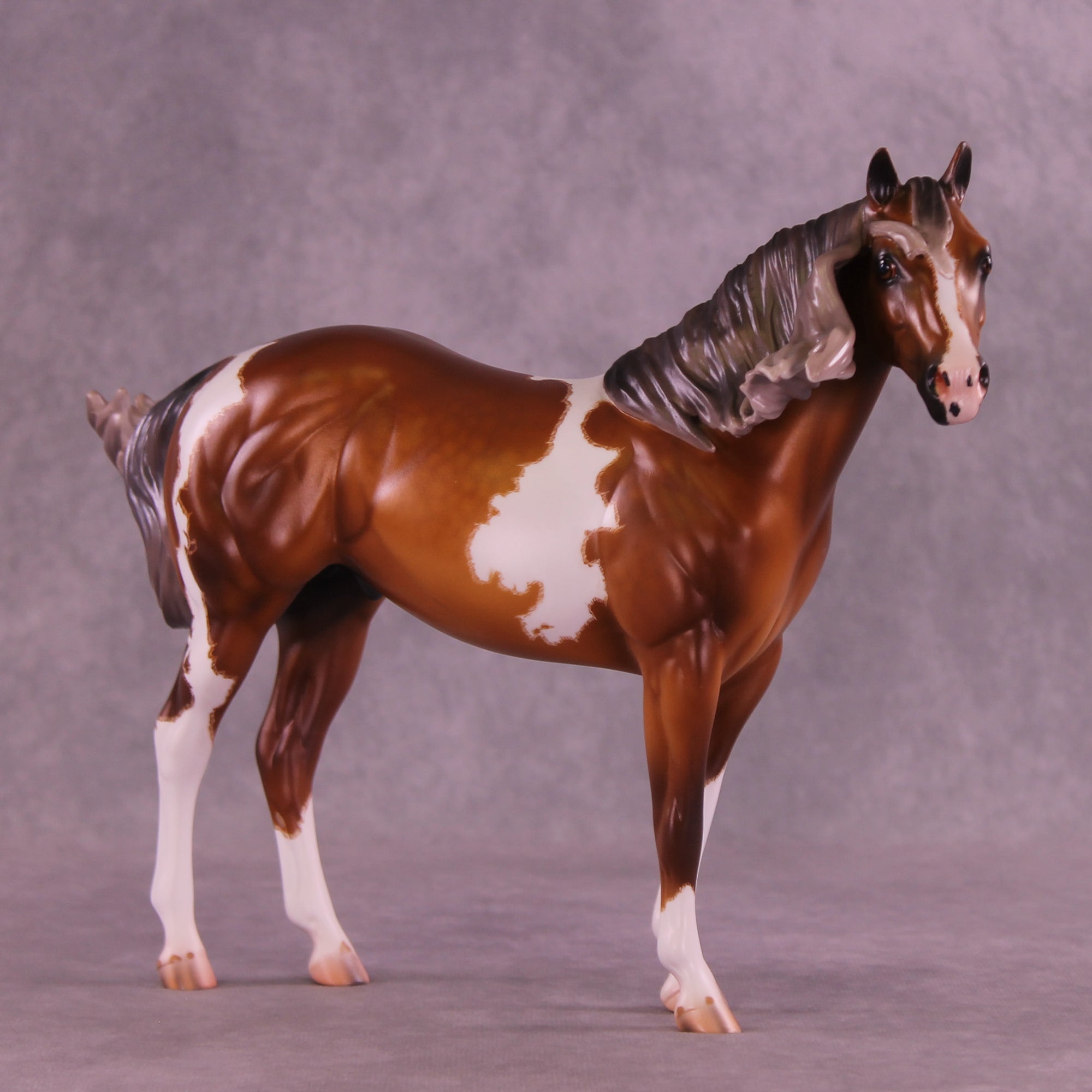 Chex Meowt OOAK FCM Ideal Stock Horse by Caroline Boydston &amp; Mel Miller Best Offer 1.20.2026