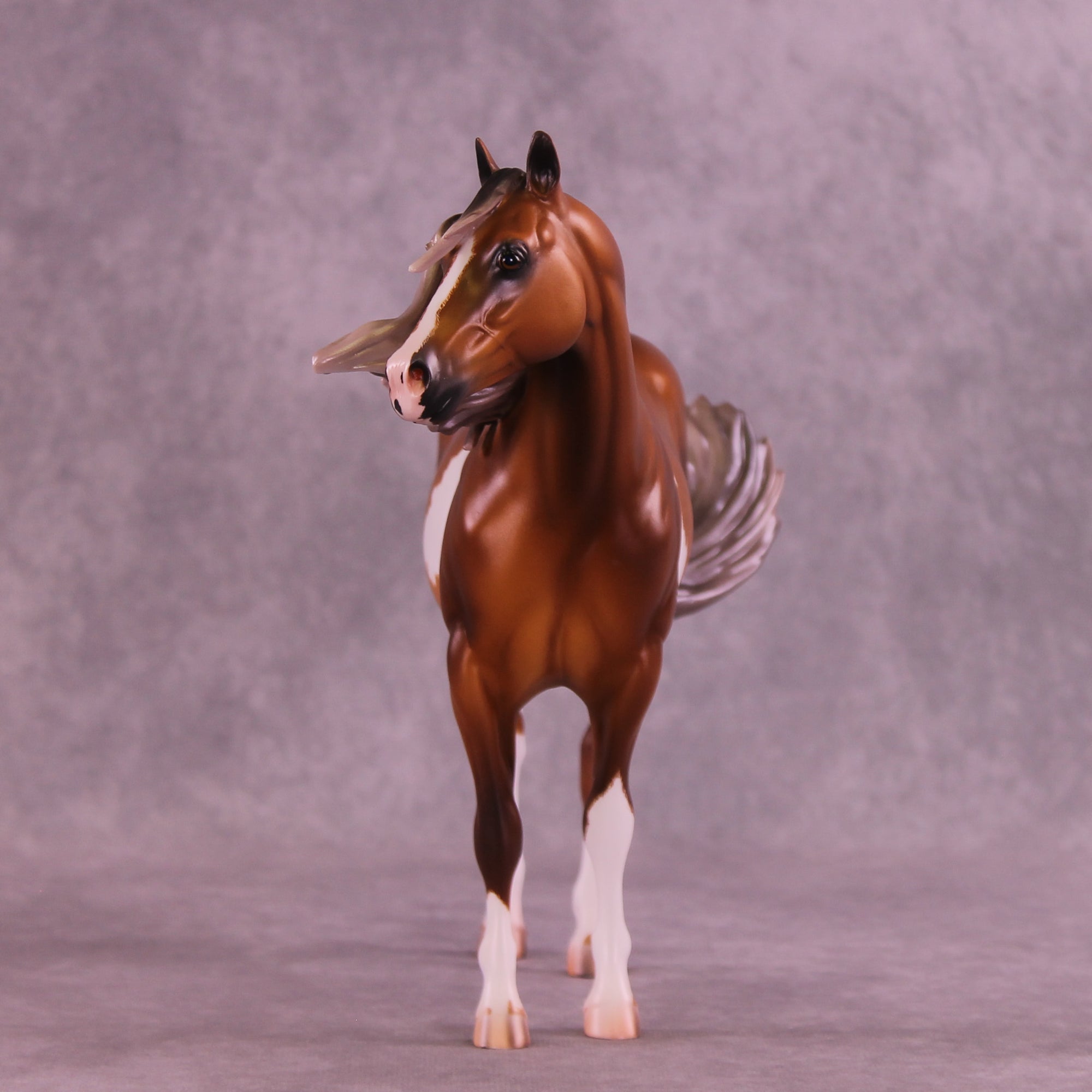 Chex Meowt OOAK FCM Ideal Stock Horse by Caroline Boydston &amp; Mel Miller Best Offer 1.20.2026