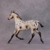 &quot;Williwaw&quot; Best Offer Custom OOAK Arabian Yearling by Sheryl Leisure 4/29/2025