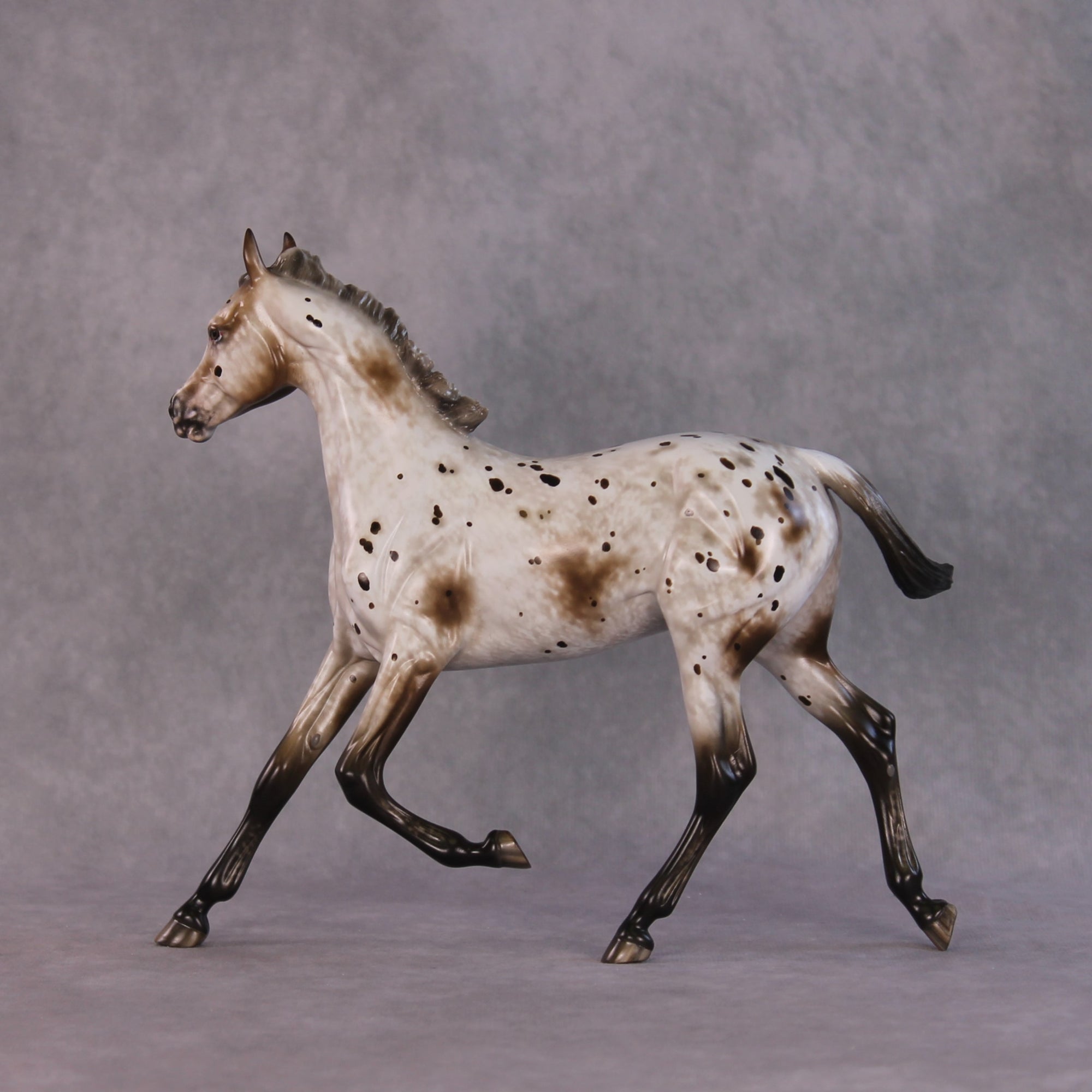 "Williwaw" Best Offer Custom OOAK Arabian Yearling by Sheryl Leisure 4/29/2025
