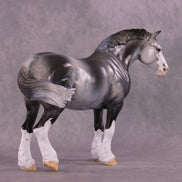 Art of the Horse 