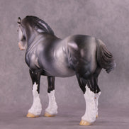 Art of the Horse 