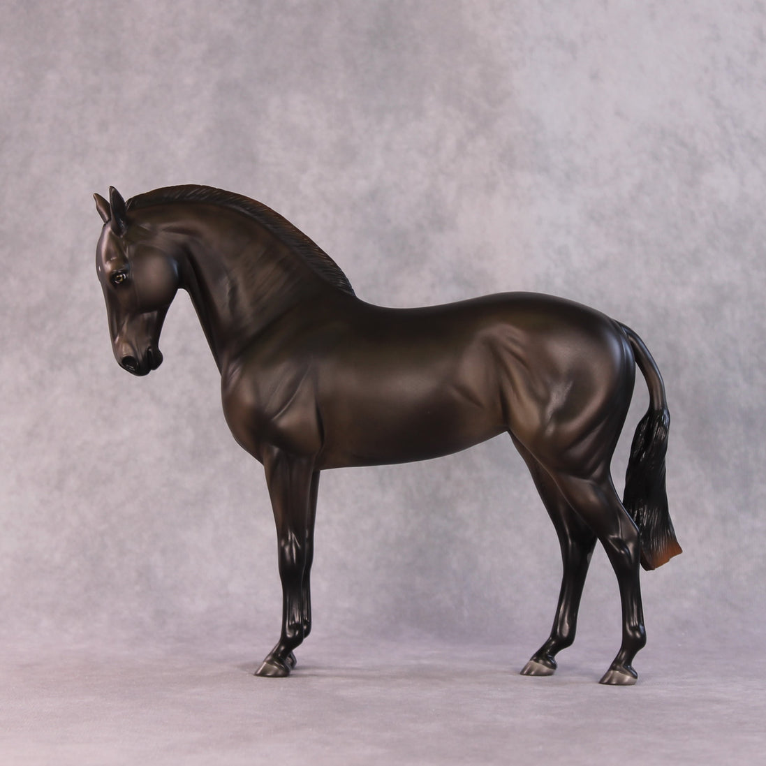 "Mistral" LE-15 FCM Andalusian By Ashley Palmer SHCF25OS Run