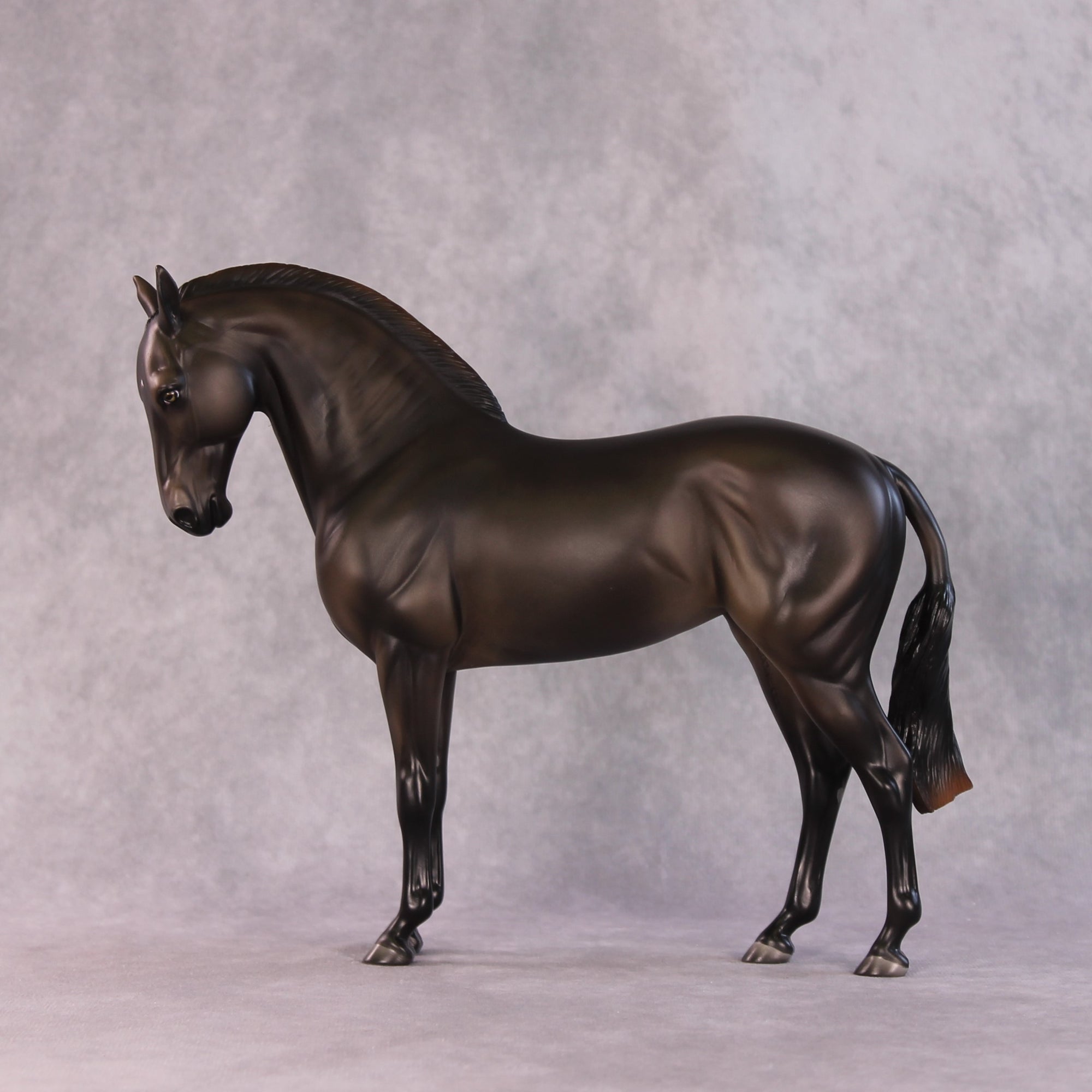 "Mistral" LE-15 FCM Andalusian By Ashley Palmer SHCF25OS Run